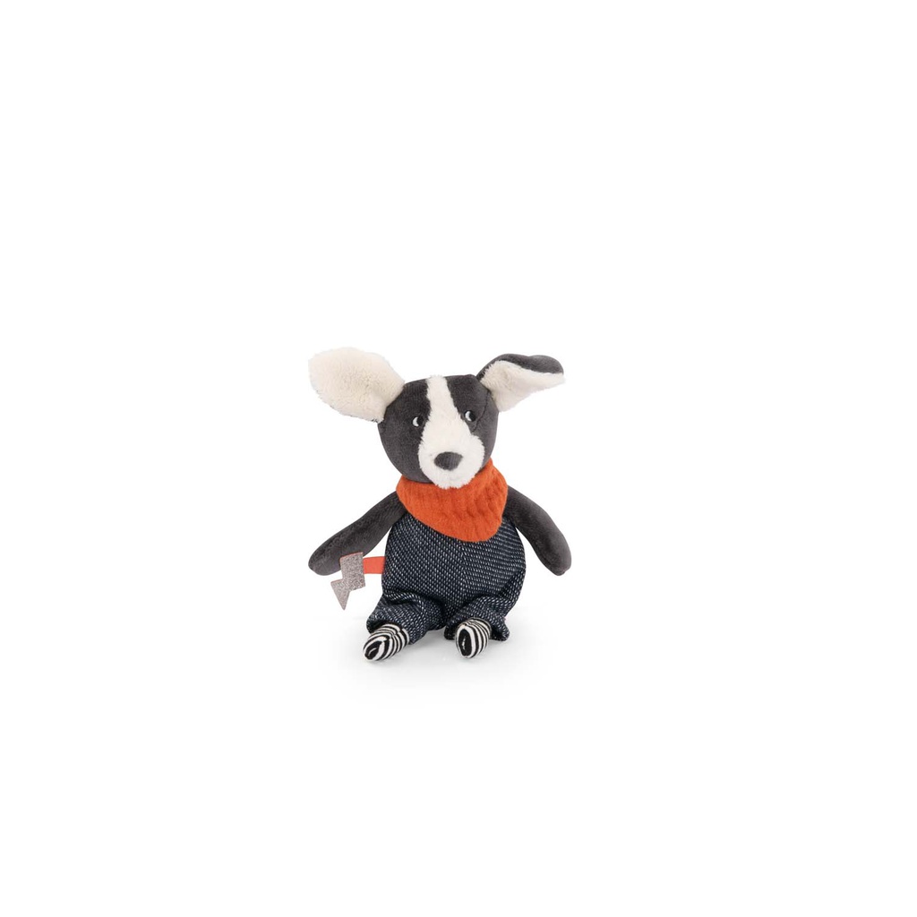 Small dog Puce Puce &amp; Pilou