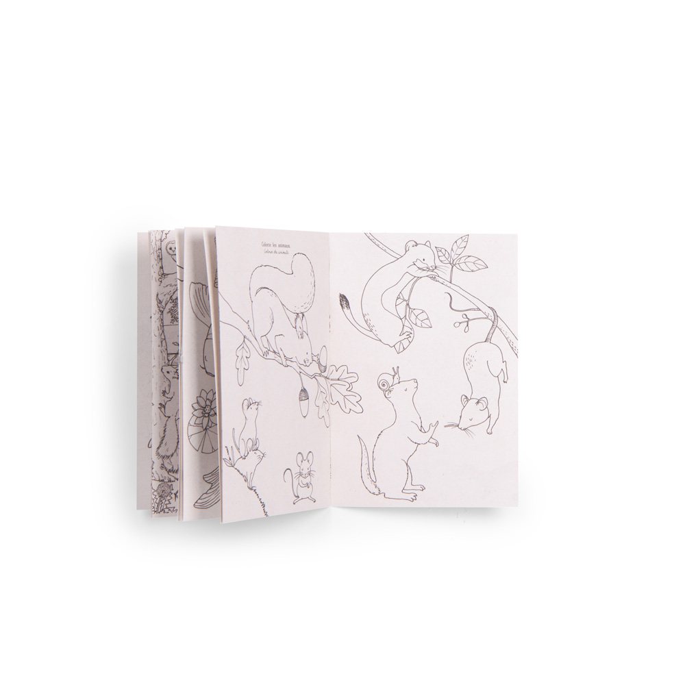 Discovery of Animals Box - Le Jardin du Moulin (FR-EN)