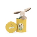 The Rabbit In Box Sage - Trois Petits Lapins