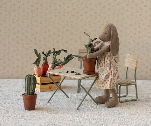 Plant