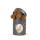 Arthur The Bear in Box - Arthur &amp; Louison