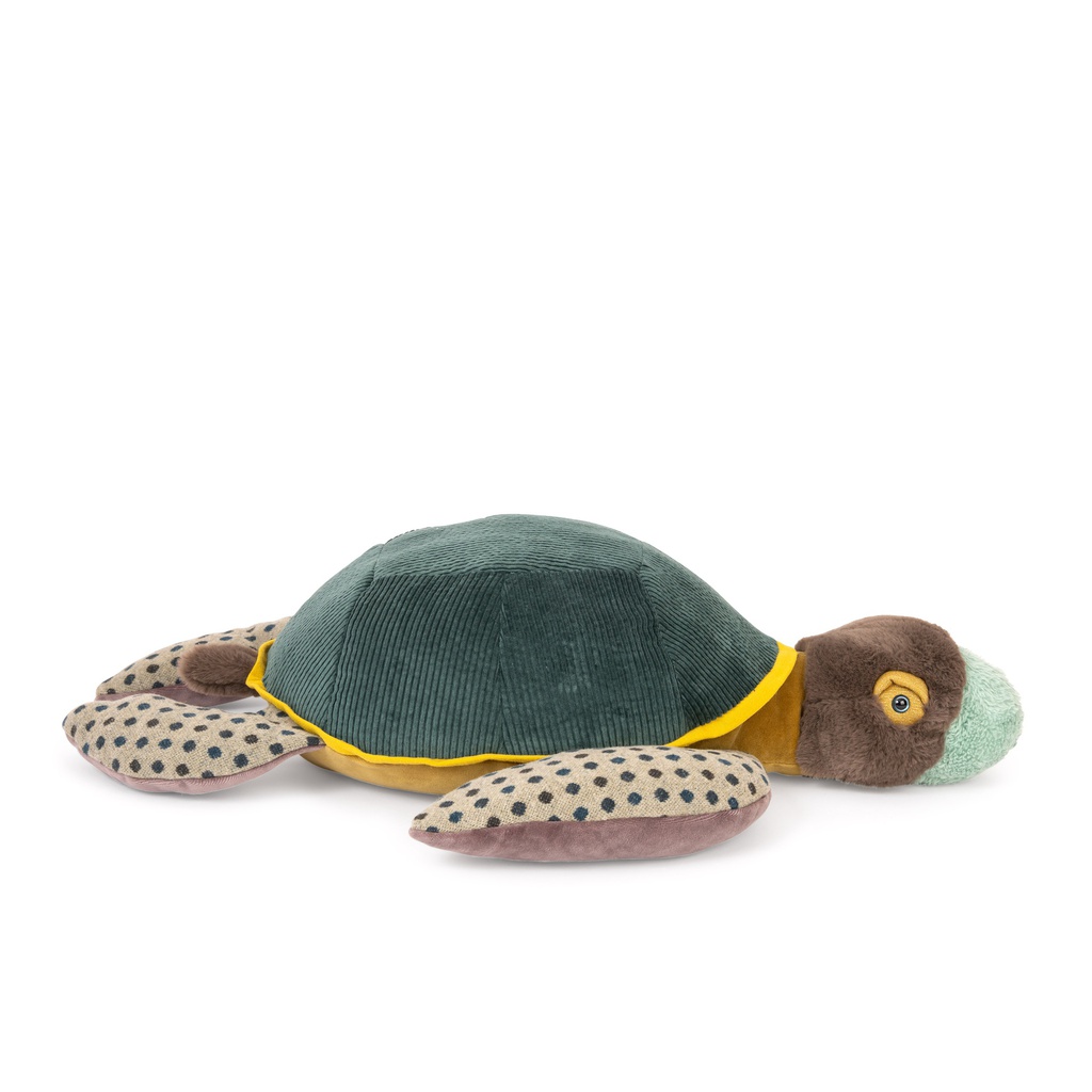Large Turtle - Tout Autour du Monde