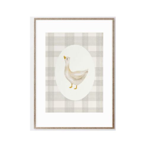 Cuadro Pato