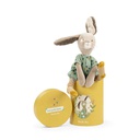 The Rabbit In Box Sage - Trois Petits Lapins